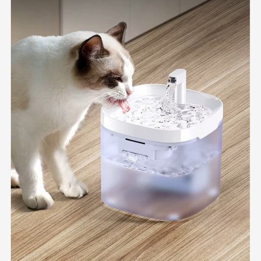 👉 Fontaine à eau silencieuse design pour chats et chiens, solution moderne et apaisante