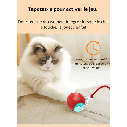 Jouet interactive auto-roulante TurboBalle