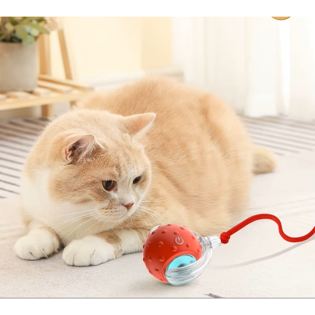 Jouet interactive auto-roulante TurboBalle