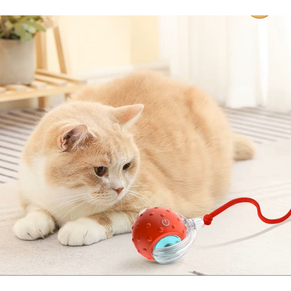 Jouet interactive auto-roulante TurboBalle