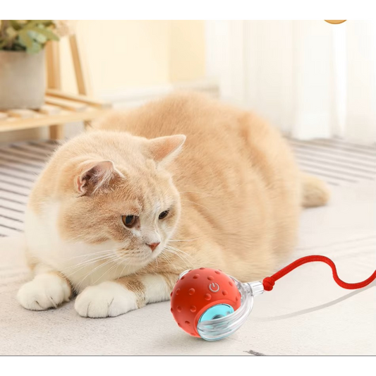 Jouet interactive auto-roulante TurboBalle