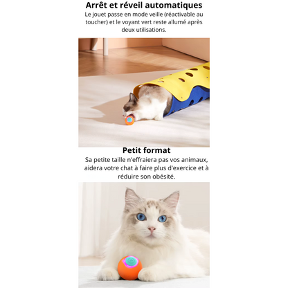 Jouet interactive balle auto-roulante ZigzagPlay Orange