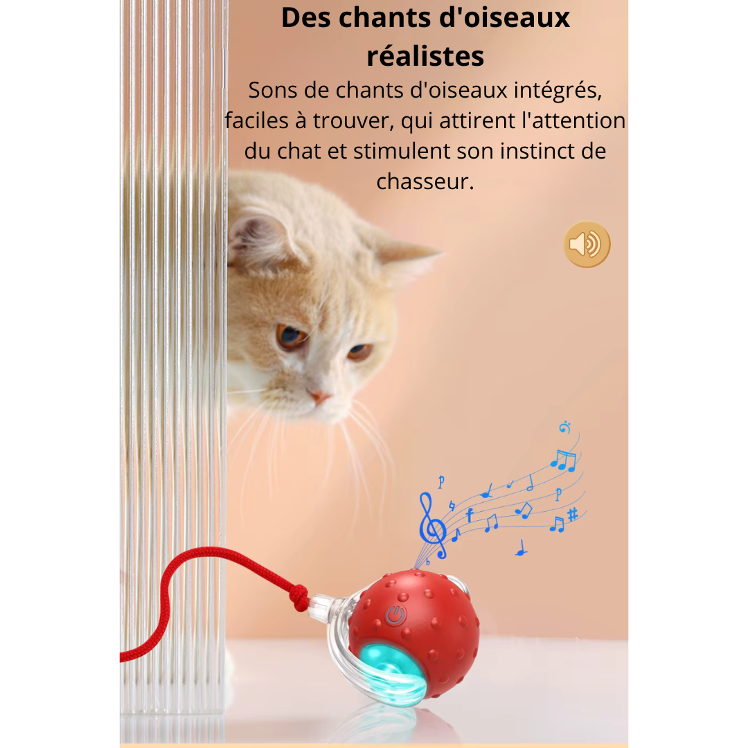 Jouet interactive auto-roulante TurboBalle