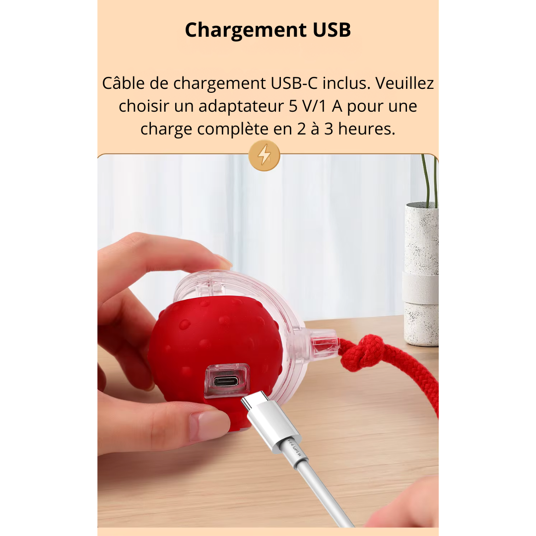 Jouet interactive auto-roulante TurboBalle