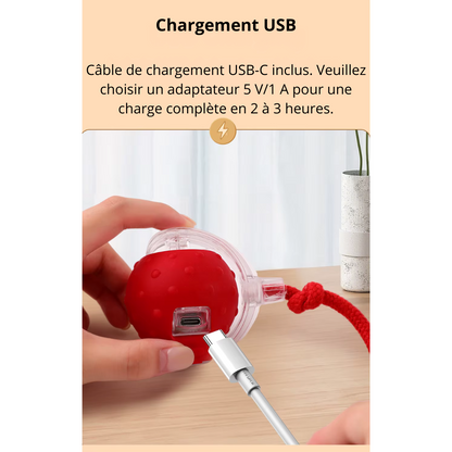 Jouet interactive auto-roulante TurboBalle