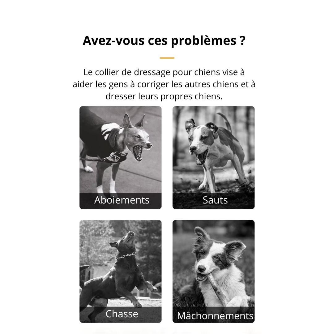 Collier de dressage longue portée CalmiTreks