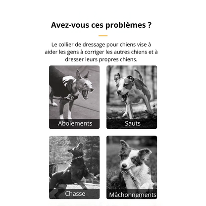 Collier de dressage longue portée CalmiTreks