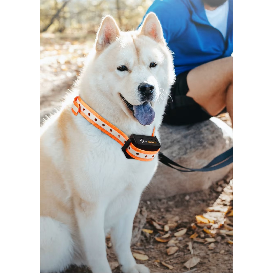 Collier de dressage longue portée CalmiTreks