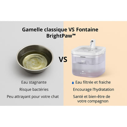 Fontaine a eau silencieuse & filtrante 1,5L + 1 filtre offert AquaFlow