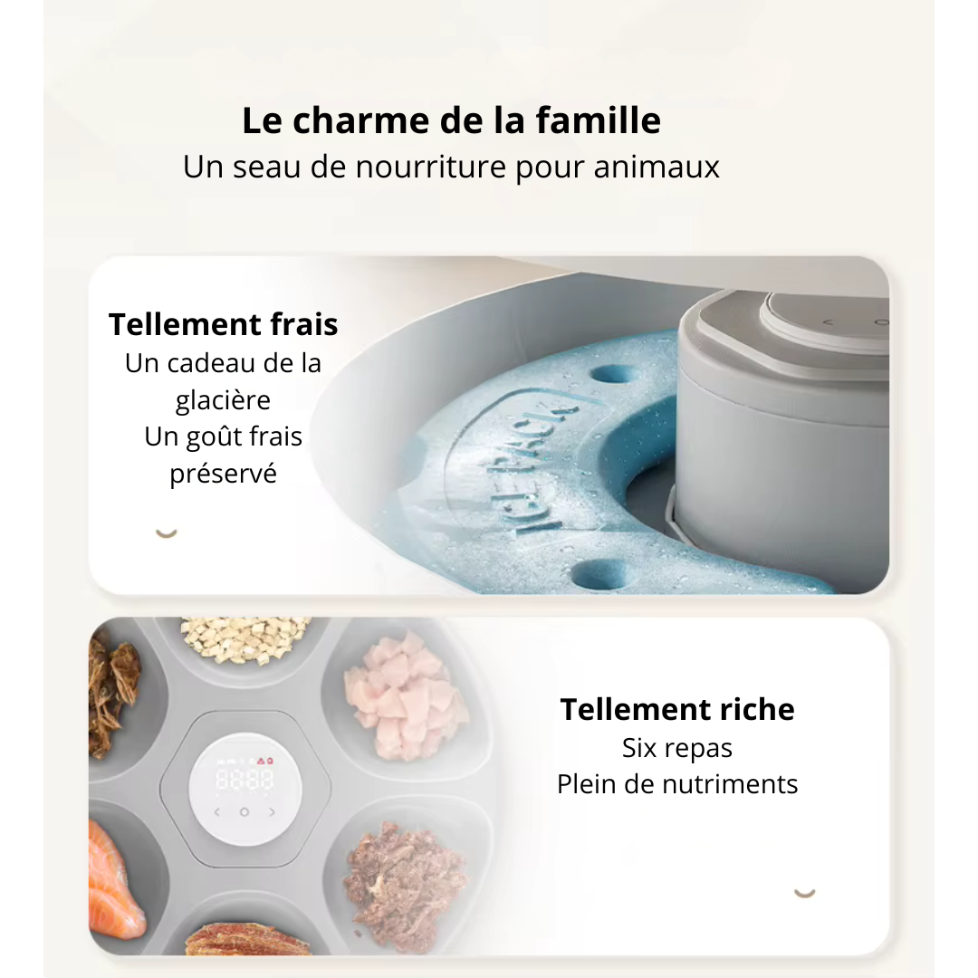 Distributeur de croquette automatique 6 repas CroqMiaou