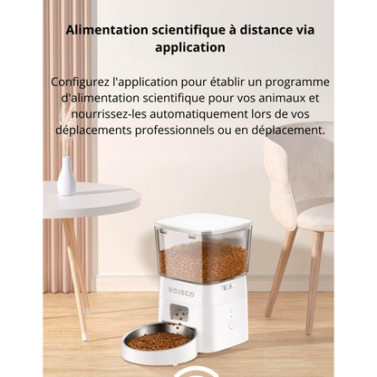 Distributeur de croquette automatique FeedFlow 2L Wi-Fi