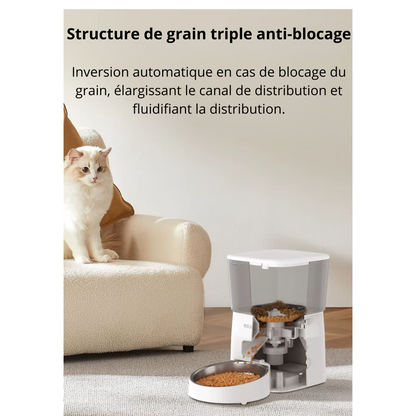 Distributeur de croquette automatique FeedFlow 2L Wi-Fi