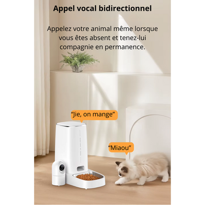 Distributeur de croquette automatique avec caméra & Wi-Fi TempoCroq 4L
