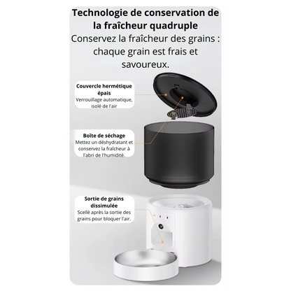 Distributeur de croquette automatique caméra 1080P & contrôle via application CroqNest Cam 3L