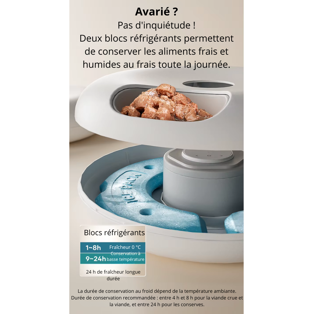 Distributeur de croquette automatique 6 repas CroqMiaou