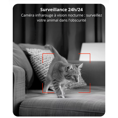 Distributeur de croquette automatique caméra 1080P & contrôle via application CroqNest Cam 3L