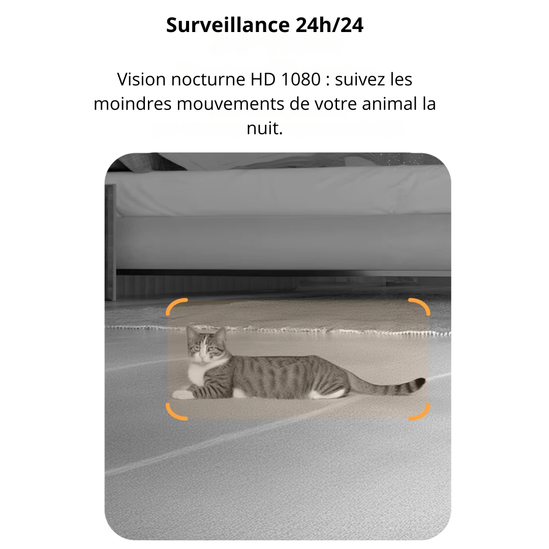 Distributeur de croquette automatique avec caméra & Wi-Fi TempoCroq 4L