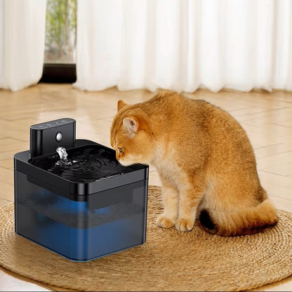 Fontaine a eau automatique avec capteur 2,2L + 1 filtre offert AquaSense