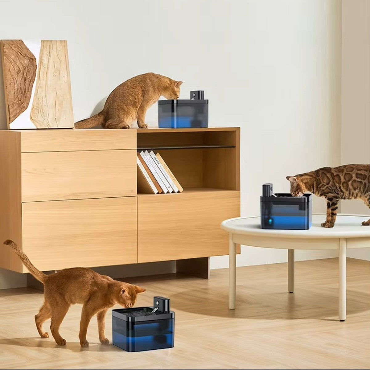 Fontaine a eau automatique avec capteur 2,2L + 1 filtre offert AquaSense