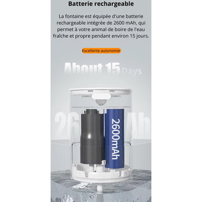 Fontaine a eau pour chat silencieuse 2,2 L + 1 filtre offert AquaWave