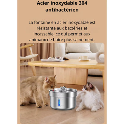 Fontaine à eau silencieuse pour chat 2L + 1 pack filtre offert PureFlow