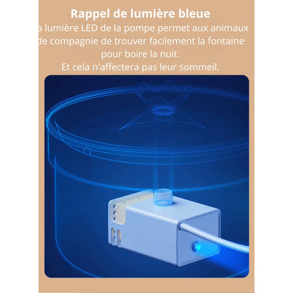 Fontaine à eau silencieuse pour chat 2L + 1 pack filtre offert PureFlow