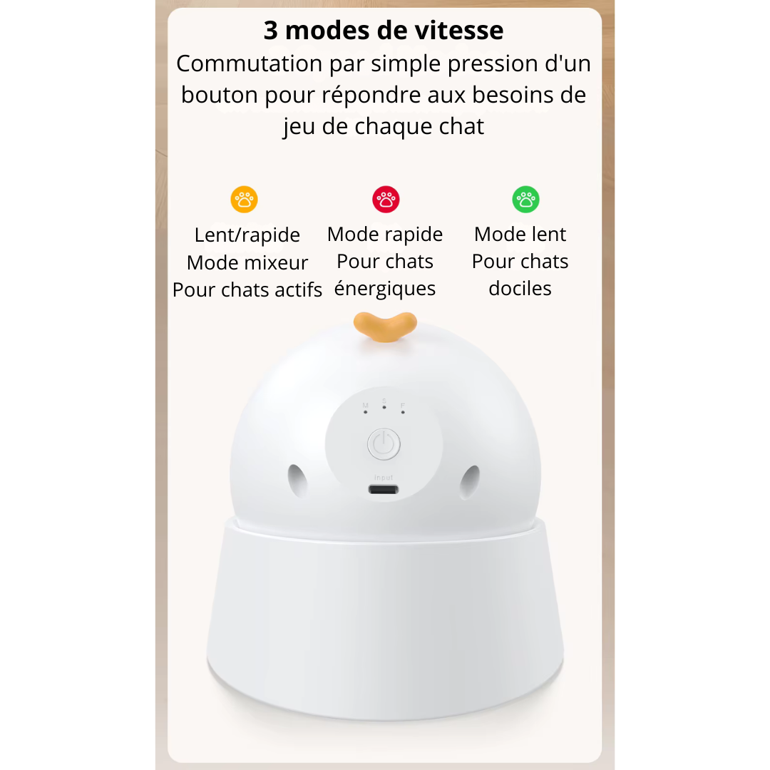 Jouet interactif pour chats lumineux ComèteChase