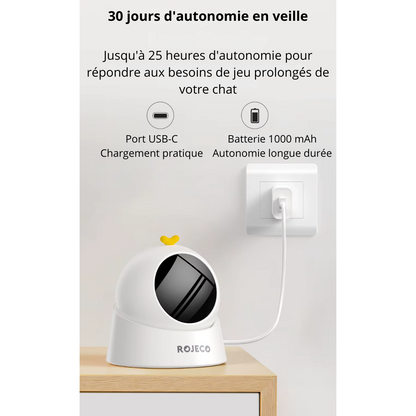Jouet interactif pour chats lumineux ComèteChase