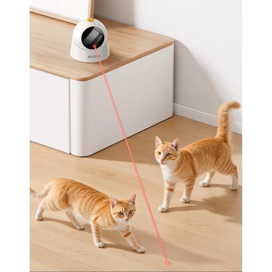 Jouet interactif pour chats lumineux ComèteChase