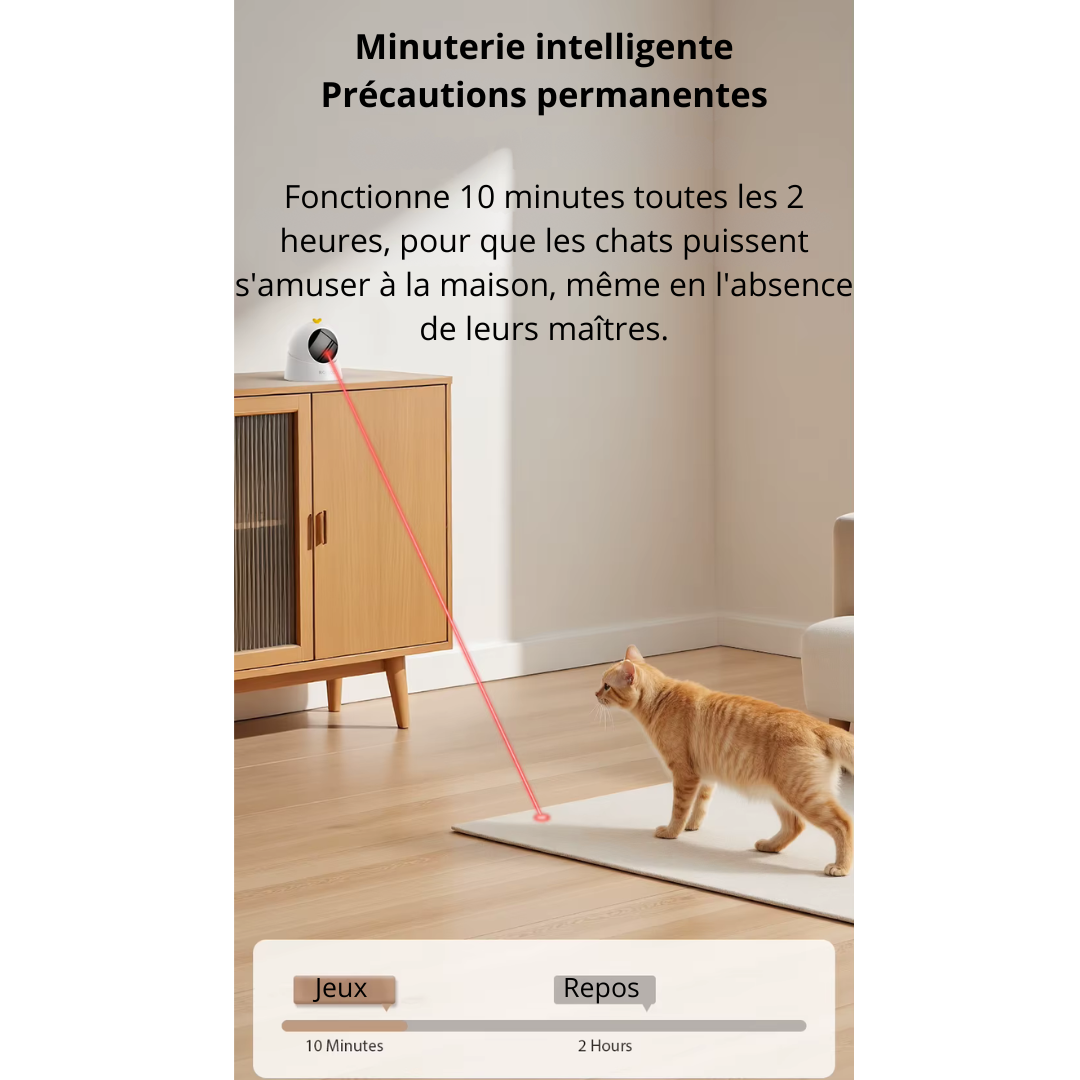 Jouet interactif pour chats lumineux ComèteChase